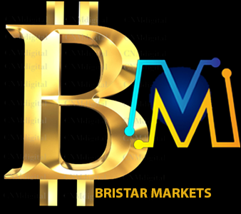 BriStar Markets Logo